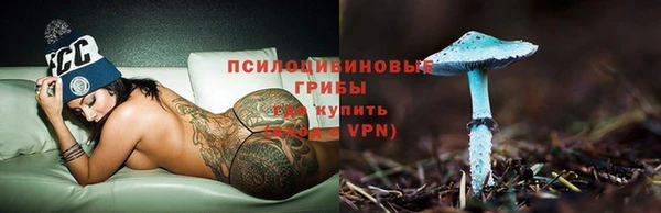 шишки Каменногорск